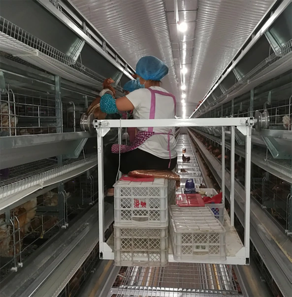 REMOVABLE CHECKING TROLLEY1