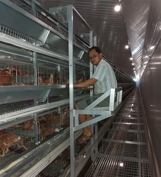 REMOVABLE CHECKING TROLLEY2