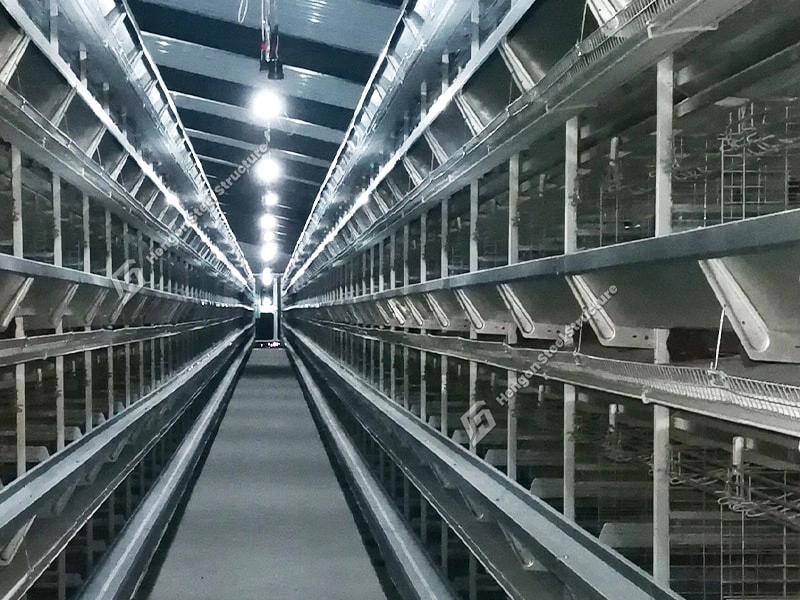 Feeding System