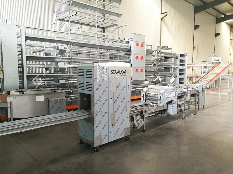 EGG FARM LOADING MACHINE