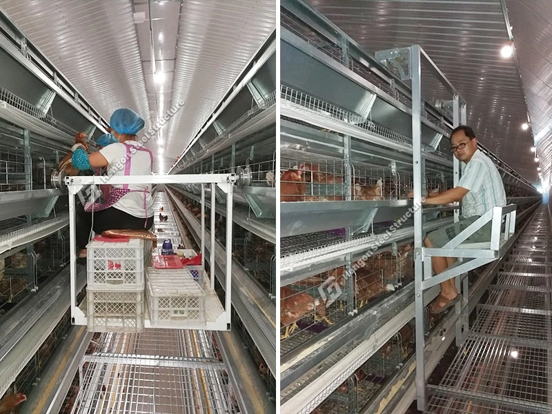 Removable Checking Trolley