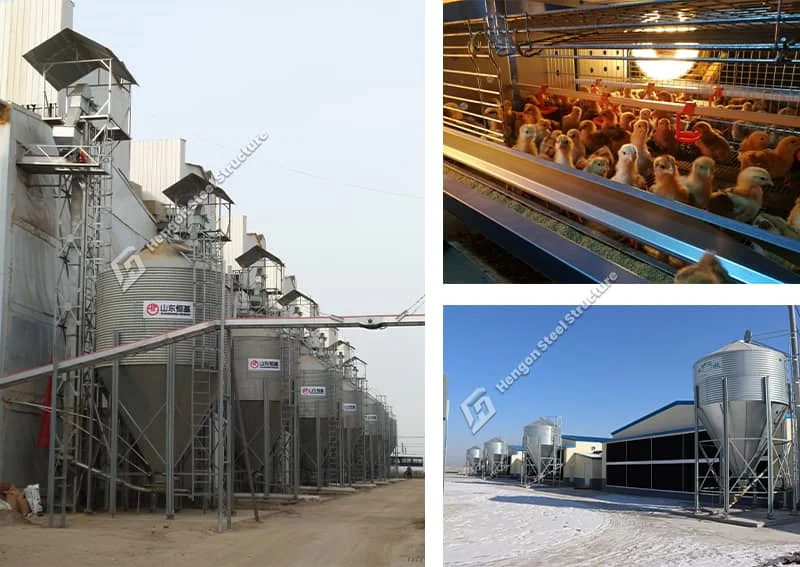 Feeding System